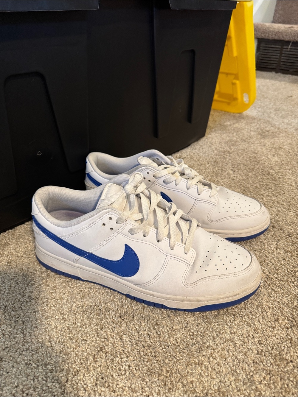 Nike Dunk Low